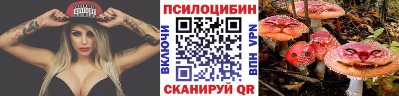купить наркоту  Новокузнецк  Галлюциногенные грибы Psilocybine cubensis 