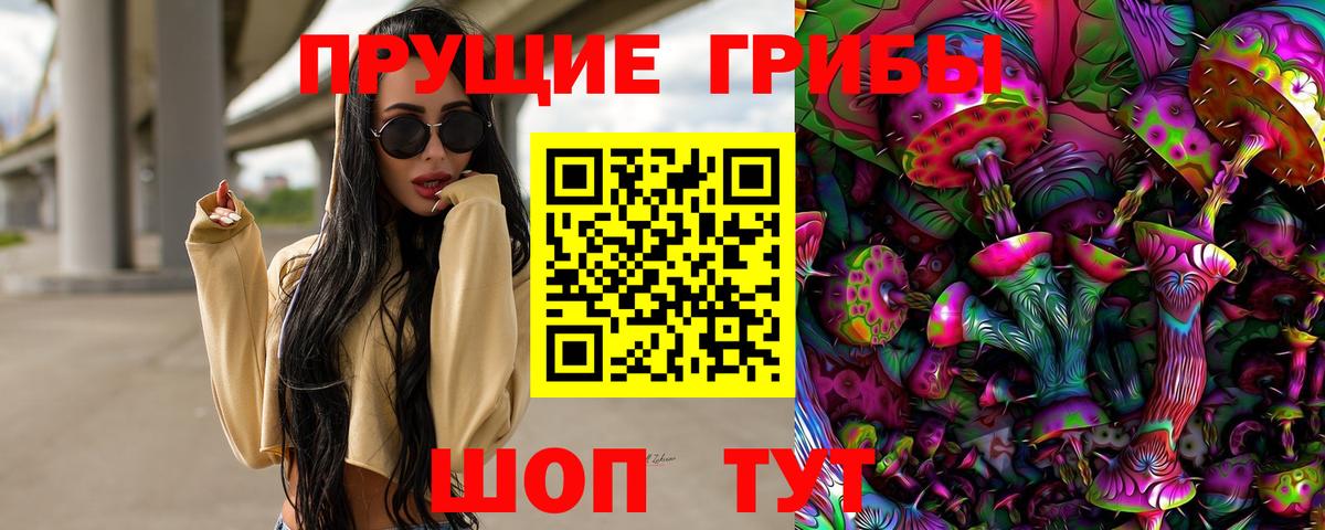 Новокузнецк  Галлюциногенные грибы Magic Shrooms  цены   Вход с VPN 
